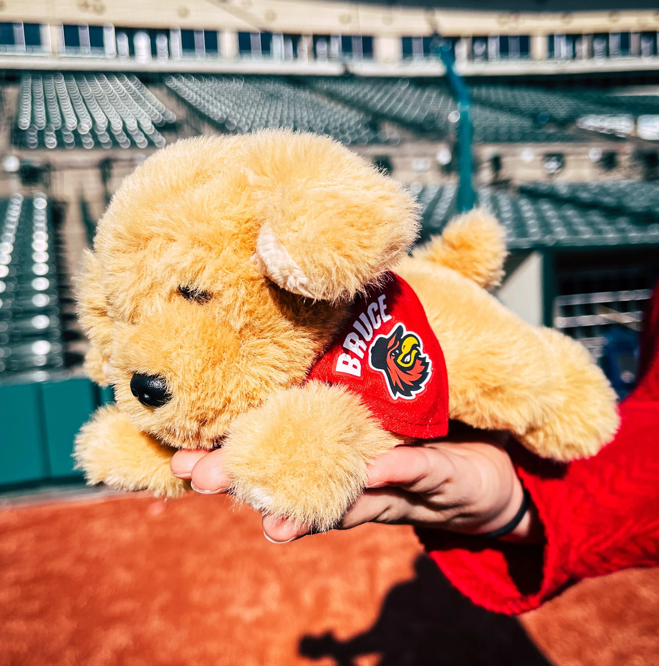 Rochester Red Wings Baby Bruce Plush - Image 2