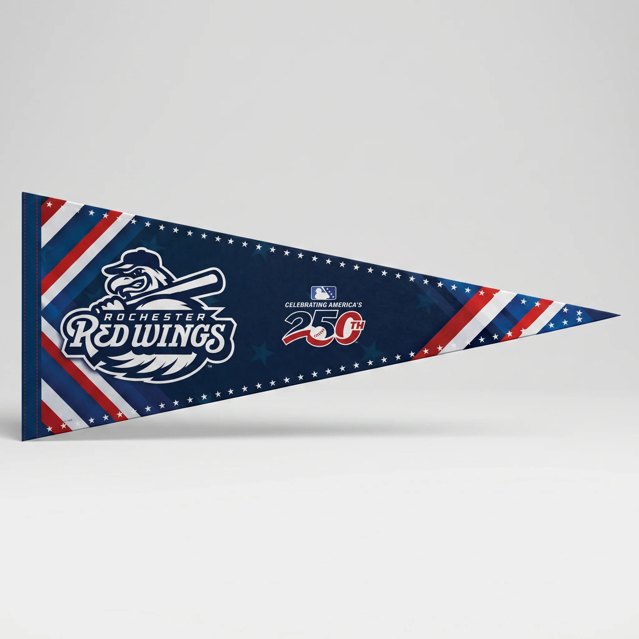 America 250 Felt Pennant