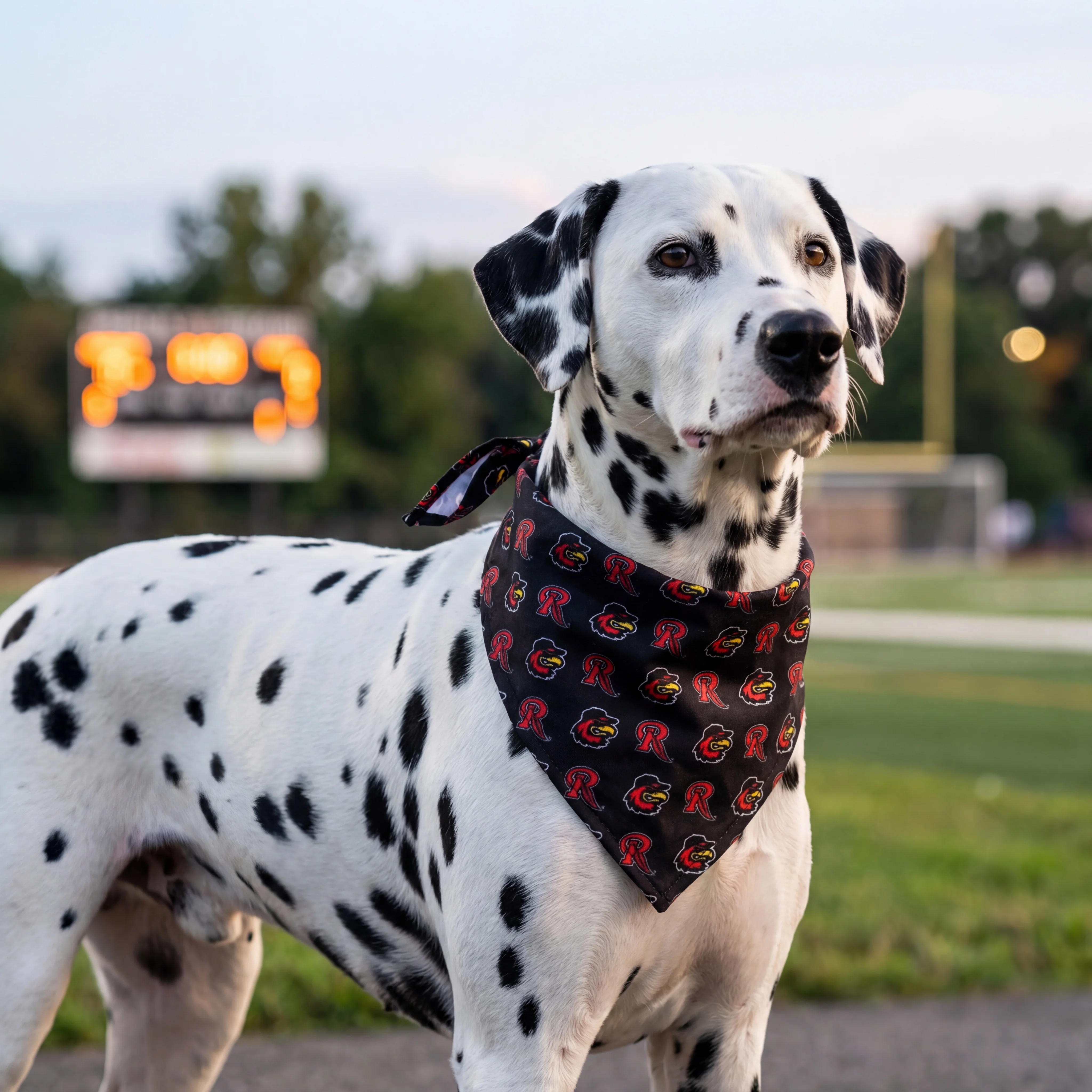 The Midnight Pup Bandana - Image 2
