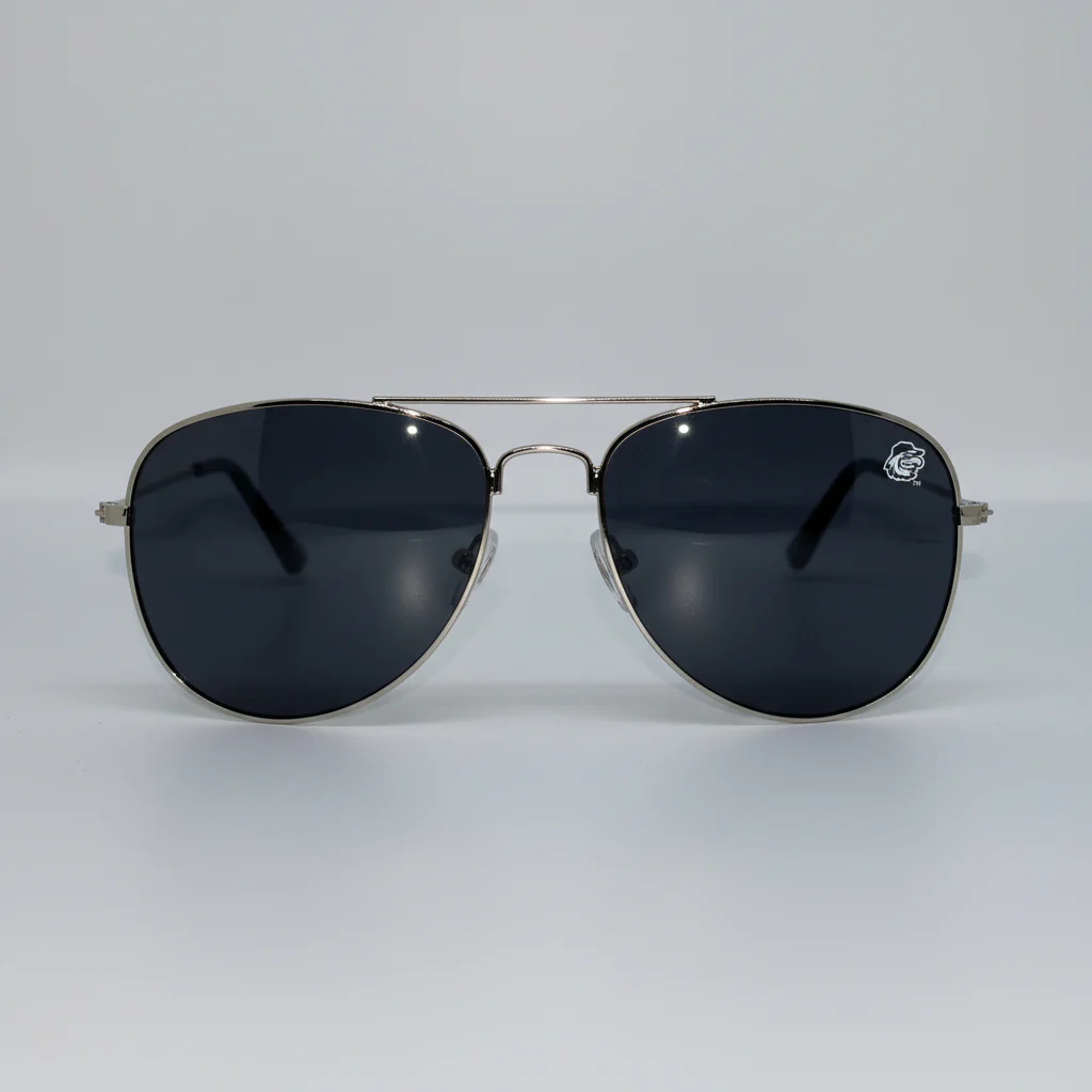 The Red Wings Aviators